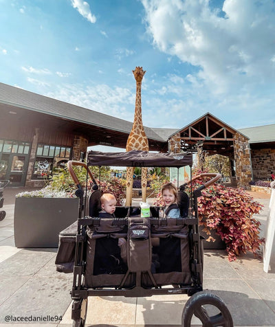 Buying A Stroller Wagon vs. Double Stroller