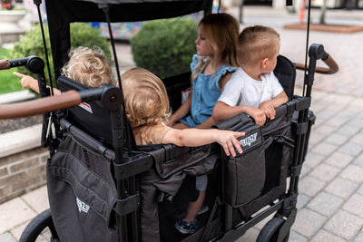Why A Folding Stroller Wagon Will Help Your Family