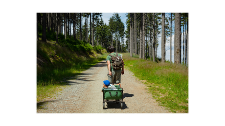 Parent and child using a stroller wagon on an outdoor nature trail