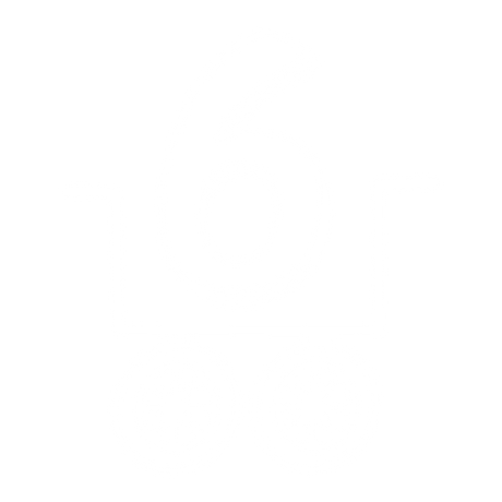 Wagon Stroller for 6