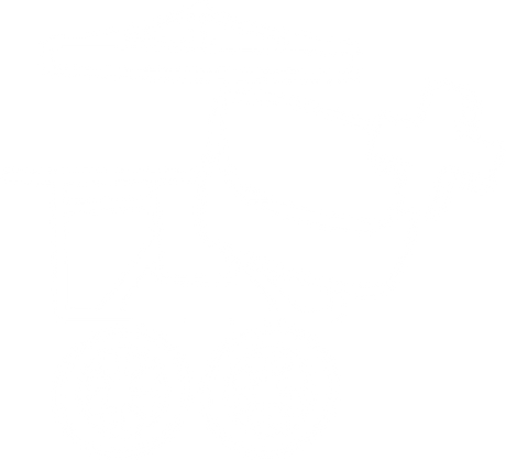 Stroller Wagon Combo