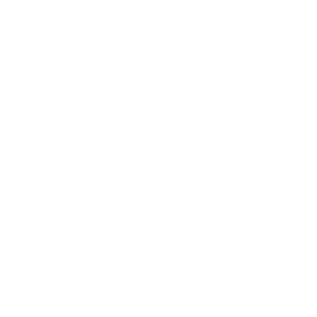 Open Box | Gently Used Stroller Wagon