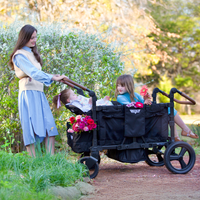 4 Passenger Sunshine & Blossoms Bundle (Keenz DUO + 2 Recliner Seats + Beachcomber Wheels)