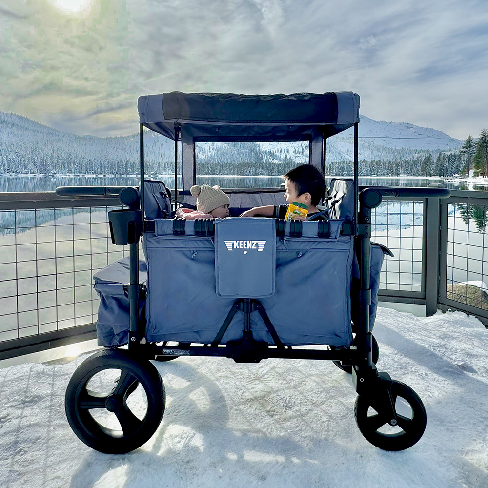 keenz double stroller wagon Keenz MOOV 2-Passenger Stroller Wagon All-Terrain Comfort for Everyday Movement